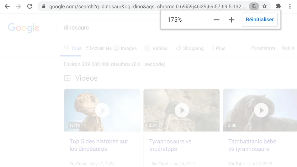 Fenêtre du navigateur Chrome ouverte sur une page Web avec la fonction Zoom active.
